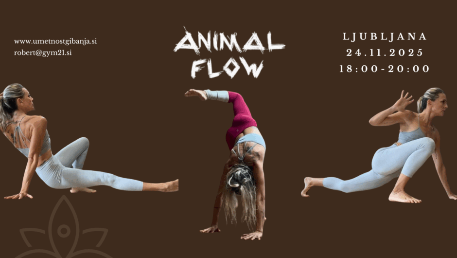 Animal Flow Ljubljana